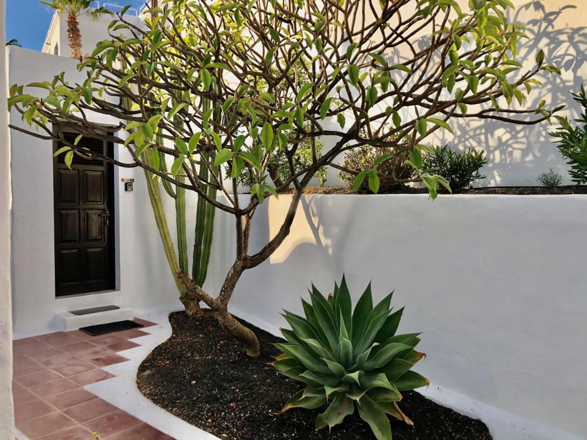 Villa Mare Bella Chao Sea View Private Heated Solar Pool Ac プエルト・デル・カルメン エクステリア 写真